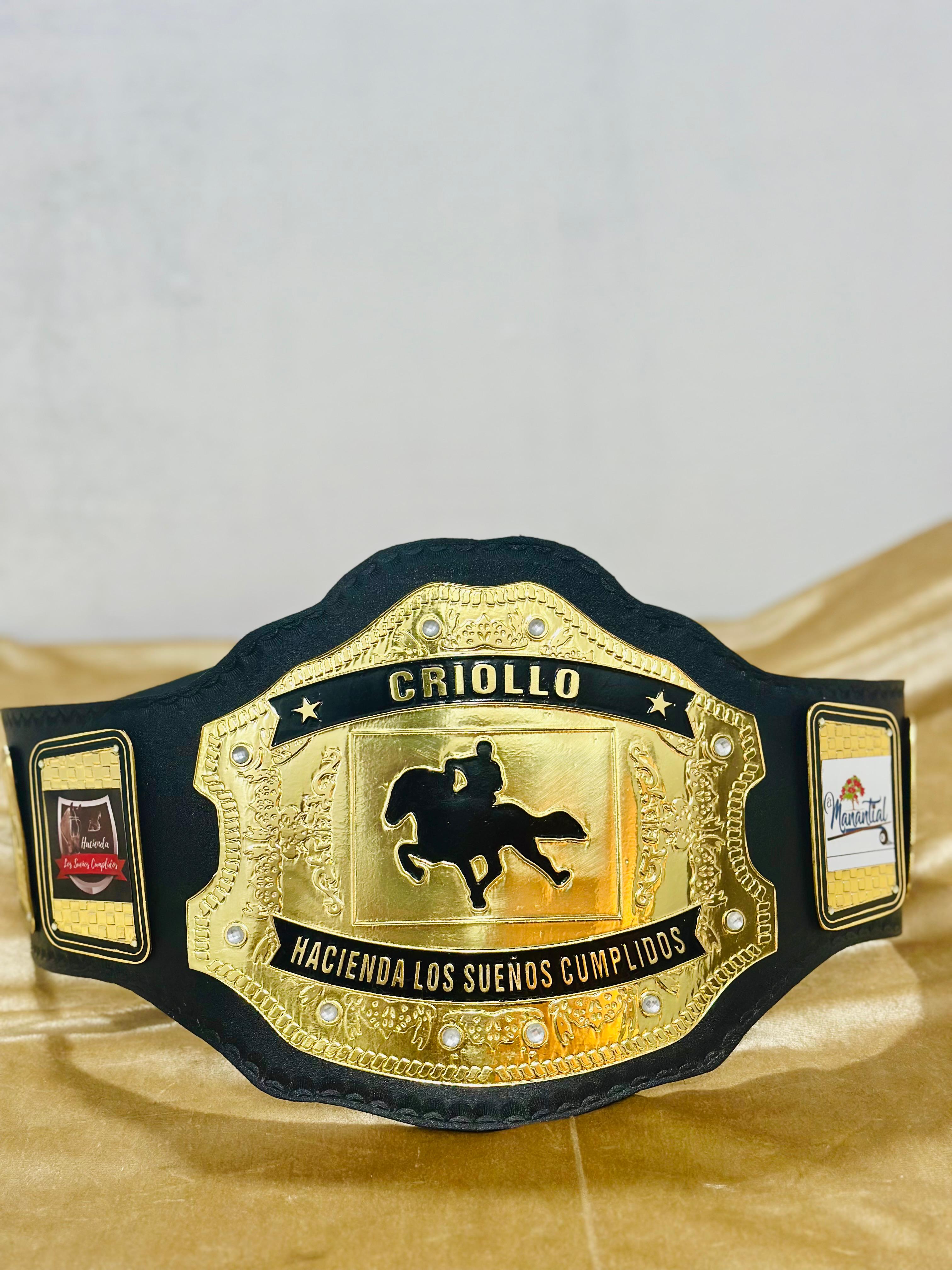 Custom Belts, Add Your Name Plate on Customizable Championship Belts for Halloween, Christmas, Valentine's, Skull Bone