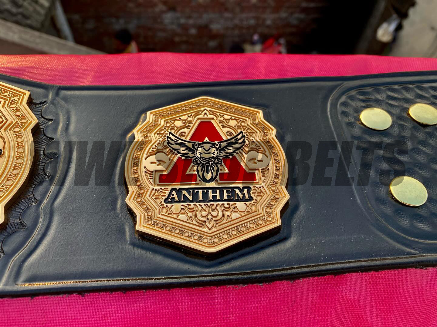 The 24K GOLD TNA World Champion Premium CNC Championship Belt Replica